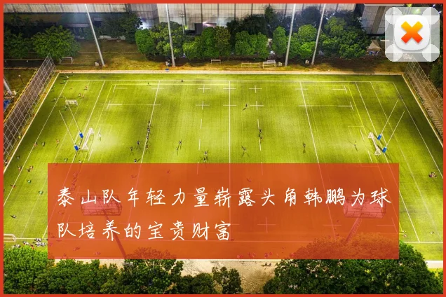 泰山队年轻力量崭露头角韩鹏为球队培养的宝贵财富